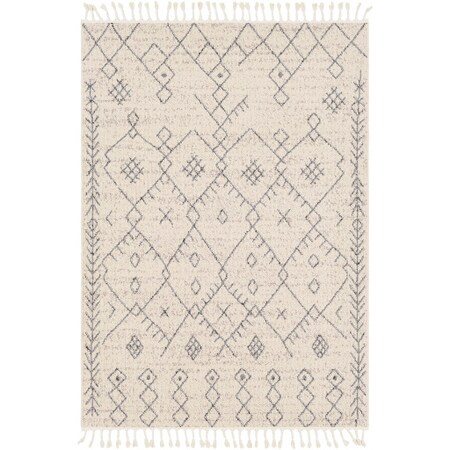 Surya Restoration - 5' X 7'3 Area Rug" REO2309-573